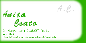 anita csato business card